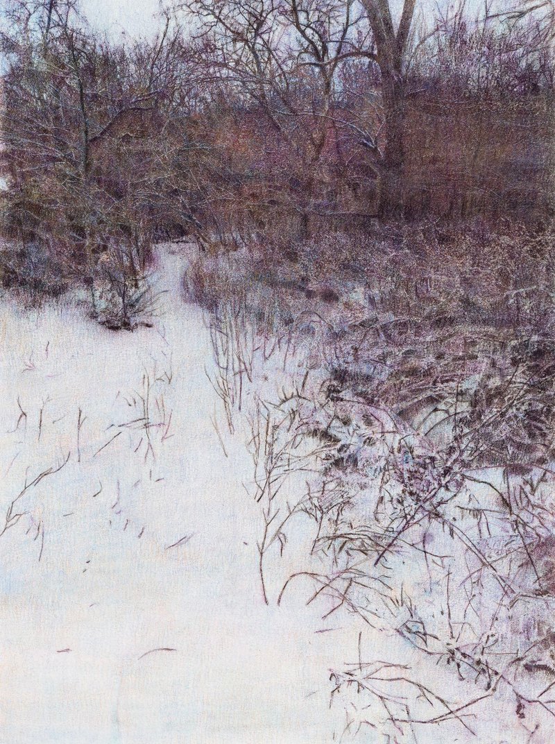 Fatemeh Shakouri, Snowy Day 3, 2024