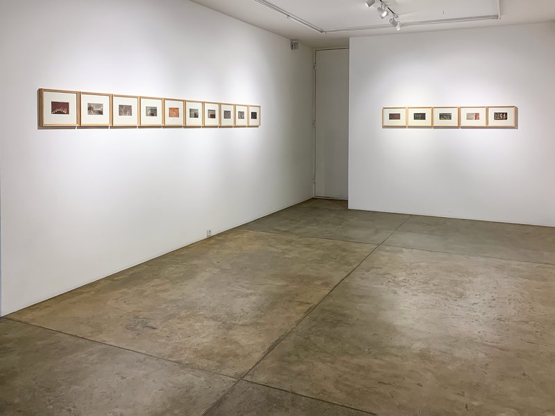 Dead Subtance, installation view