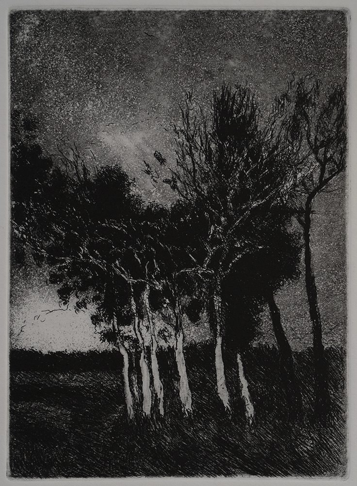 Samaneh Samimi, Untitled, 2018