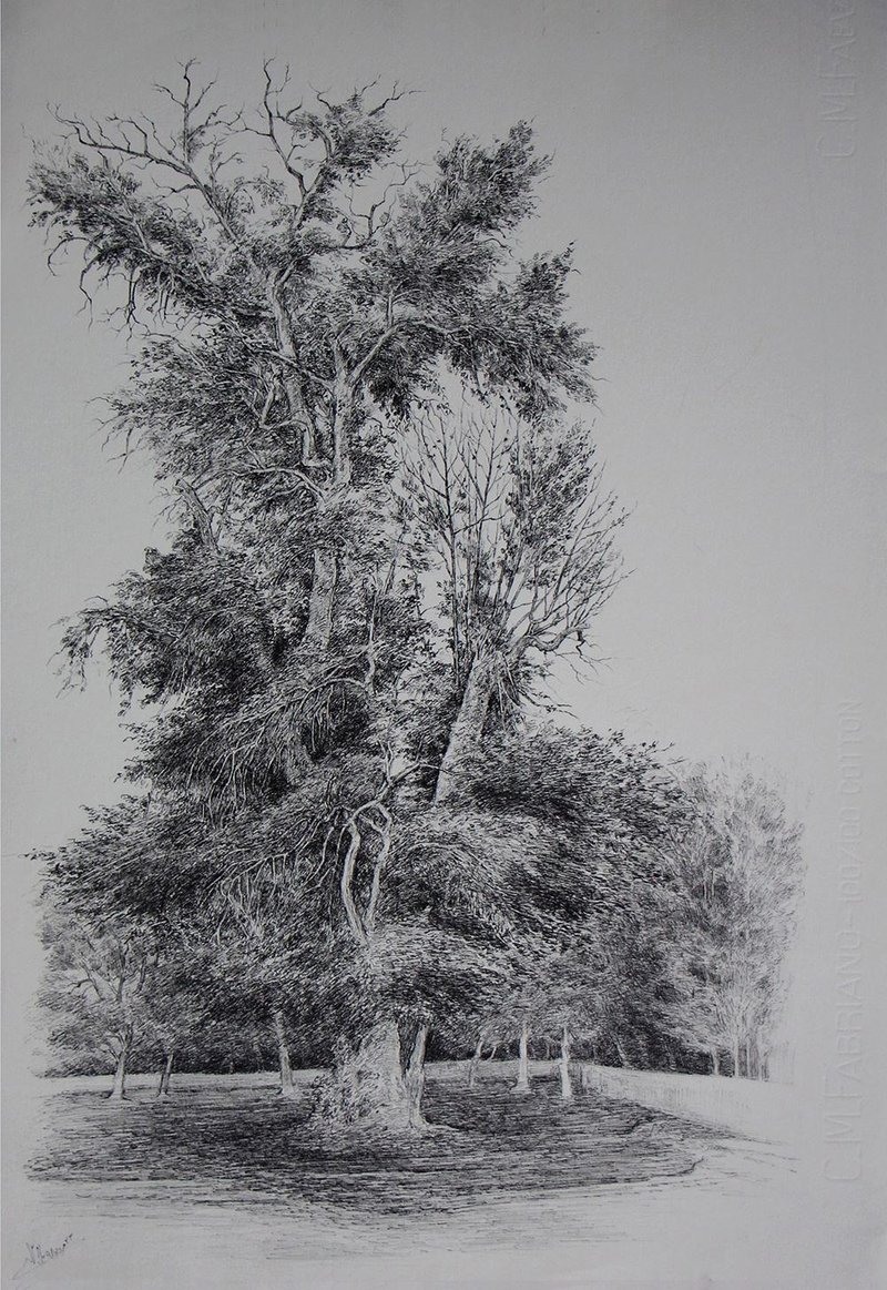 Afsaneh Masaeli, Untitled, 2019