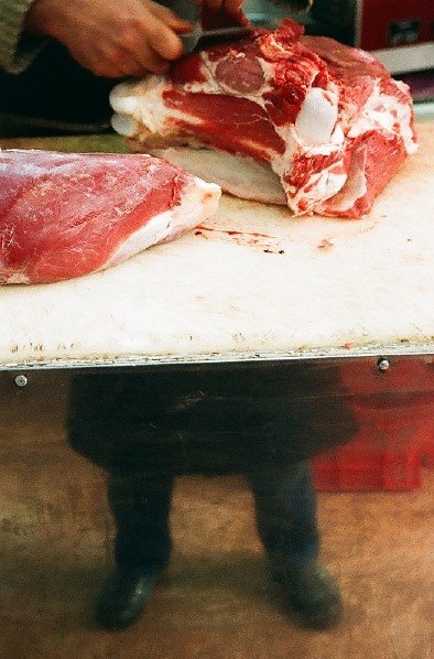 Azadeh Mirzaee, Untitled, 2008