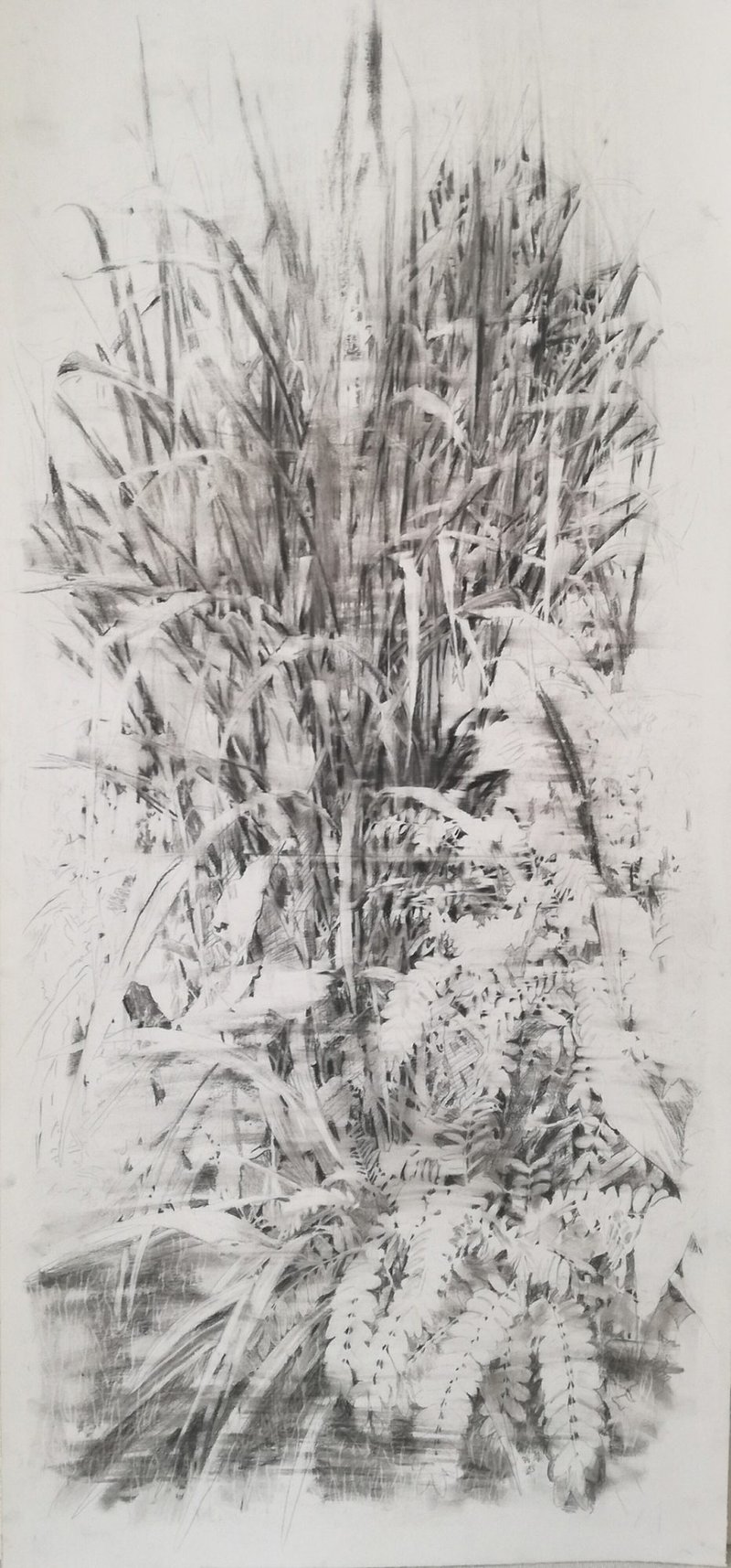 Mina Ghaziani, Untitled, 2021