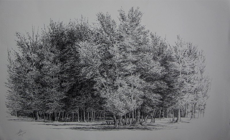Afsaneh Masaeli, Untitled, 2020