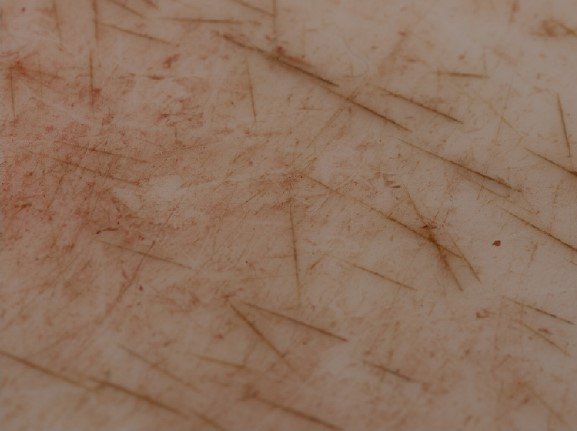 Azadeh Mirzaee, Untitled, 2008