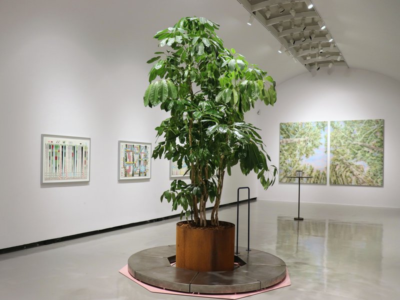 گردون زرین، نمای چیدمان