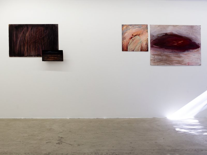 Shame, installation view