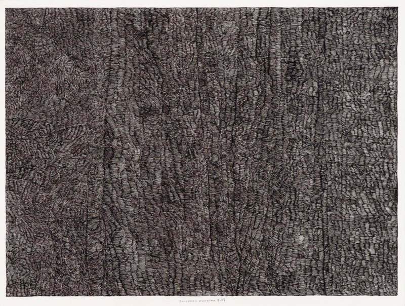 Sarvenaz Farsian, Untitled, 2022