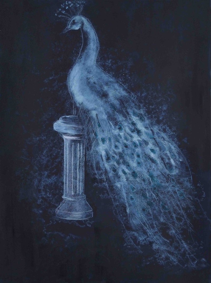 Avish Khebrezadeh, White Peacock, 2008