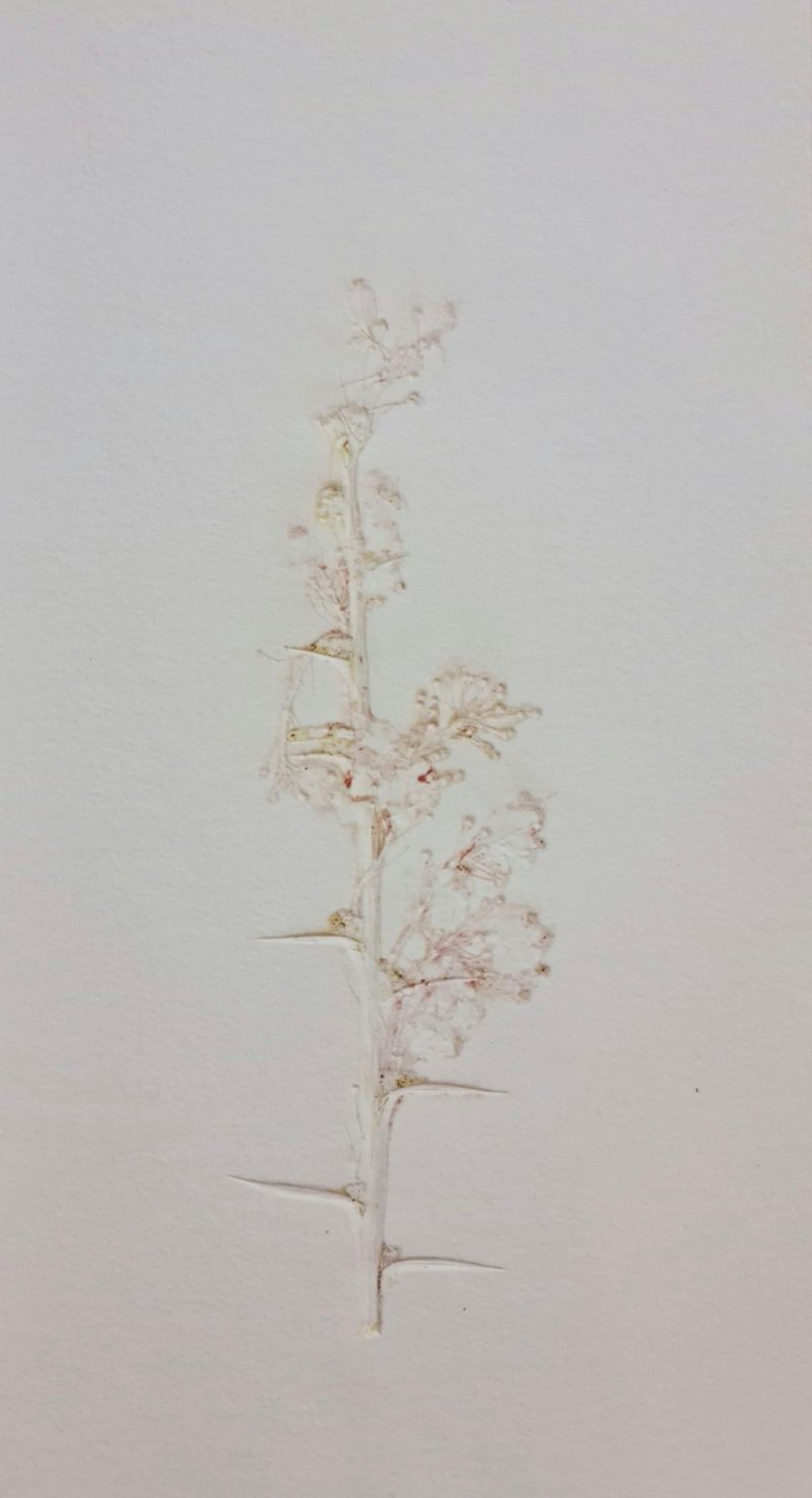 Untitled, 0