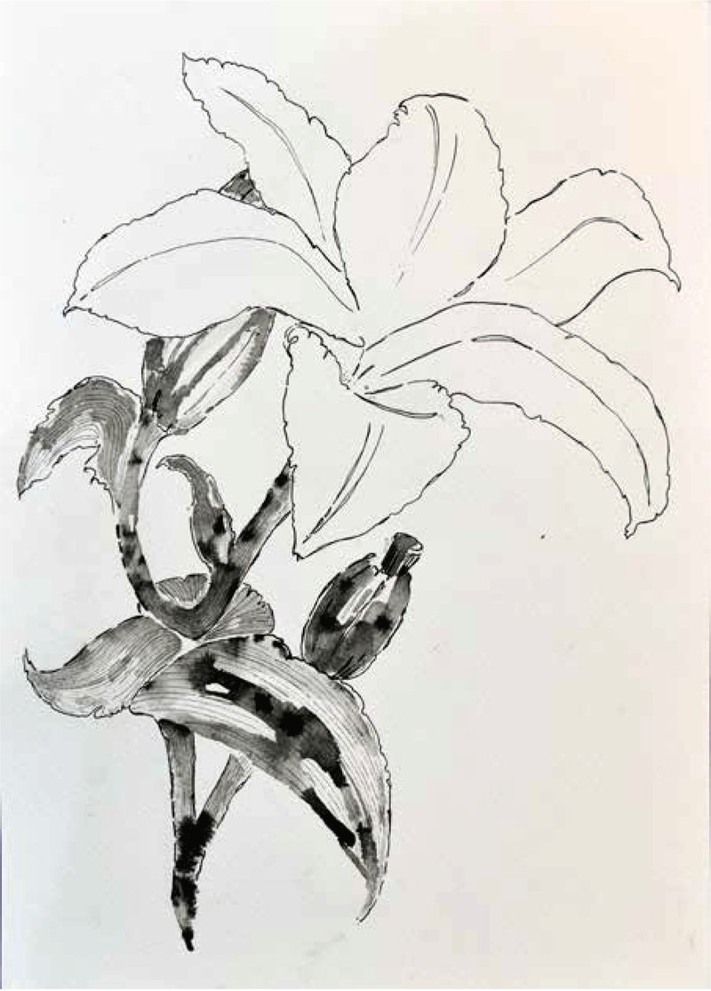 Shirin Karami Mofrad, Untitled, 2024