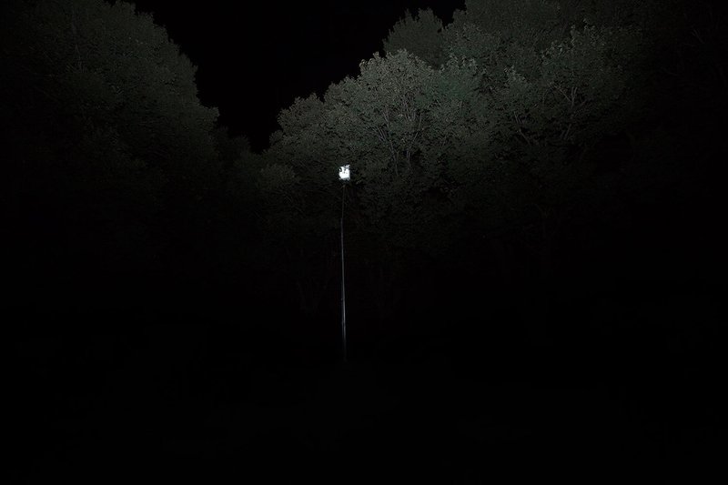 Marzie Rashidi, Untitled, 2018