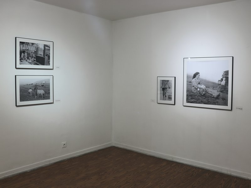 زندگی دورتر از جنگ، نمای چیدمان