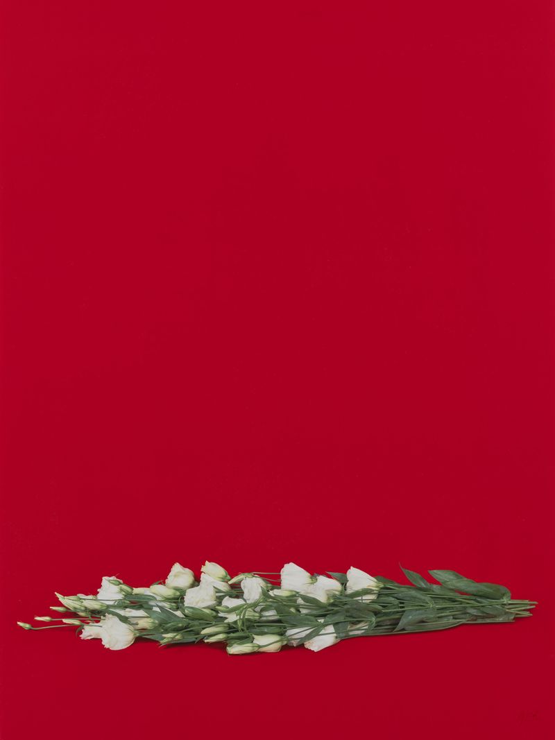 Photographs
