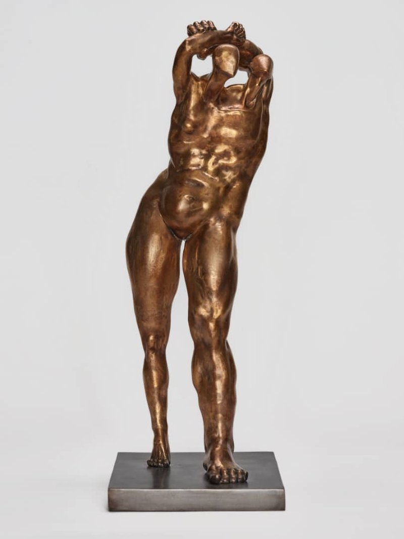 Paridokht Moshkzad, Untitled, 2019