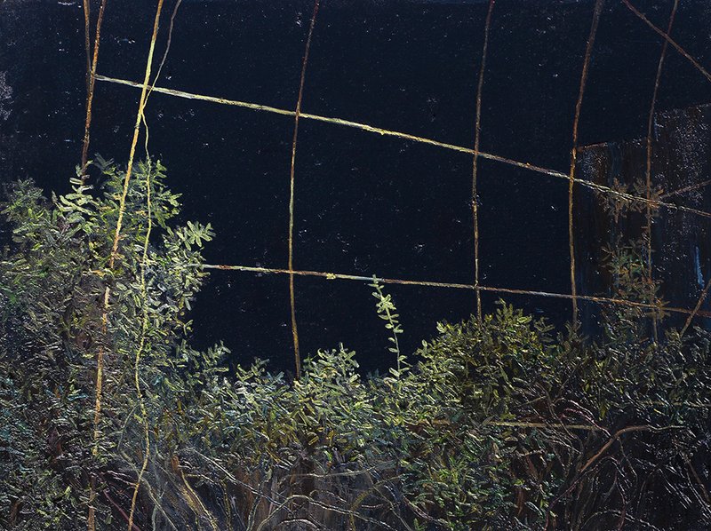 Saeed Khaleghi, Untitled, 2020
