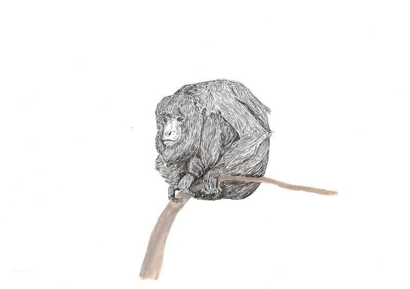 Keiman Mahabadi, Untitled, 2021