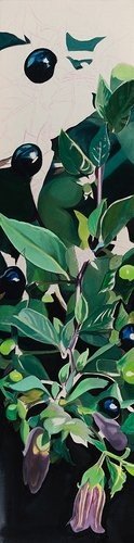 Mozhan Yaghoubi, No. 5, 2025