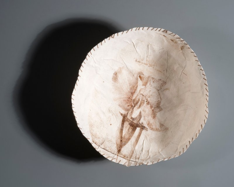 Sama Rahmani, Untitled, 2021