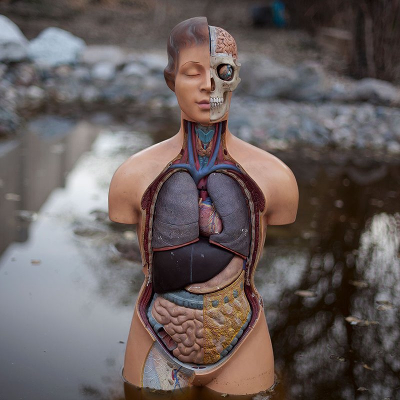 Raoof Dashti, Untitled, 2015