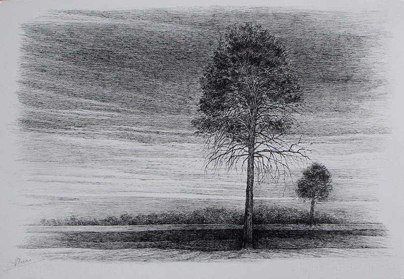 Afsaneh Masaeli, Untitled, 2019