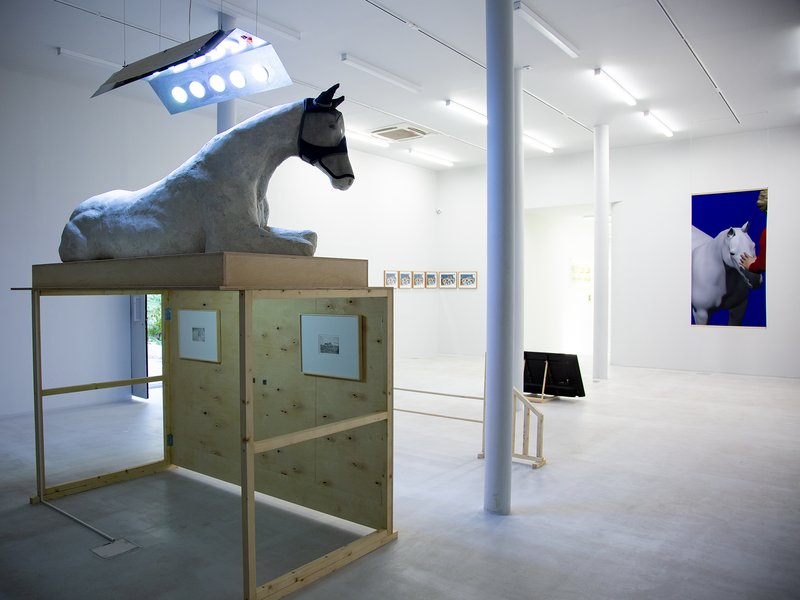 Rest, installation view