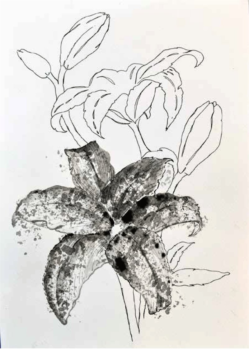 Shirin Karami Mofrad, Untitled, 2024