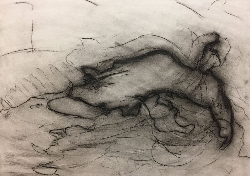 Mozhdeh Navaei, Untitled, 2019