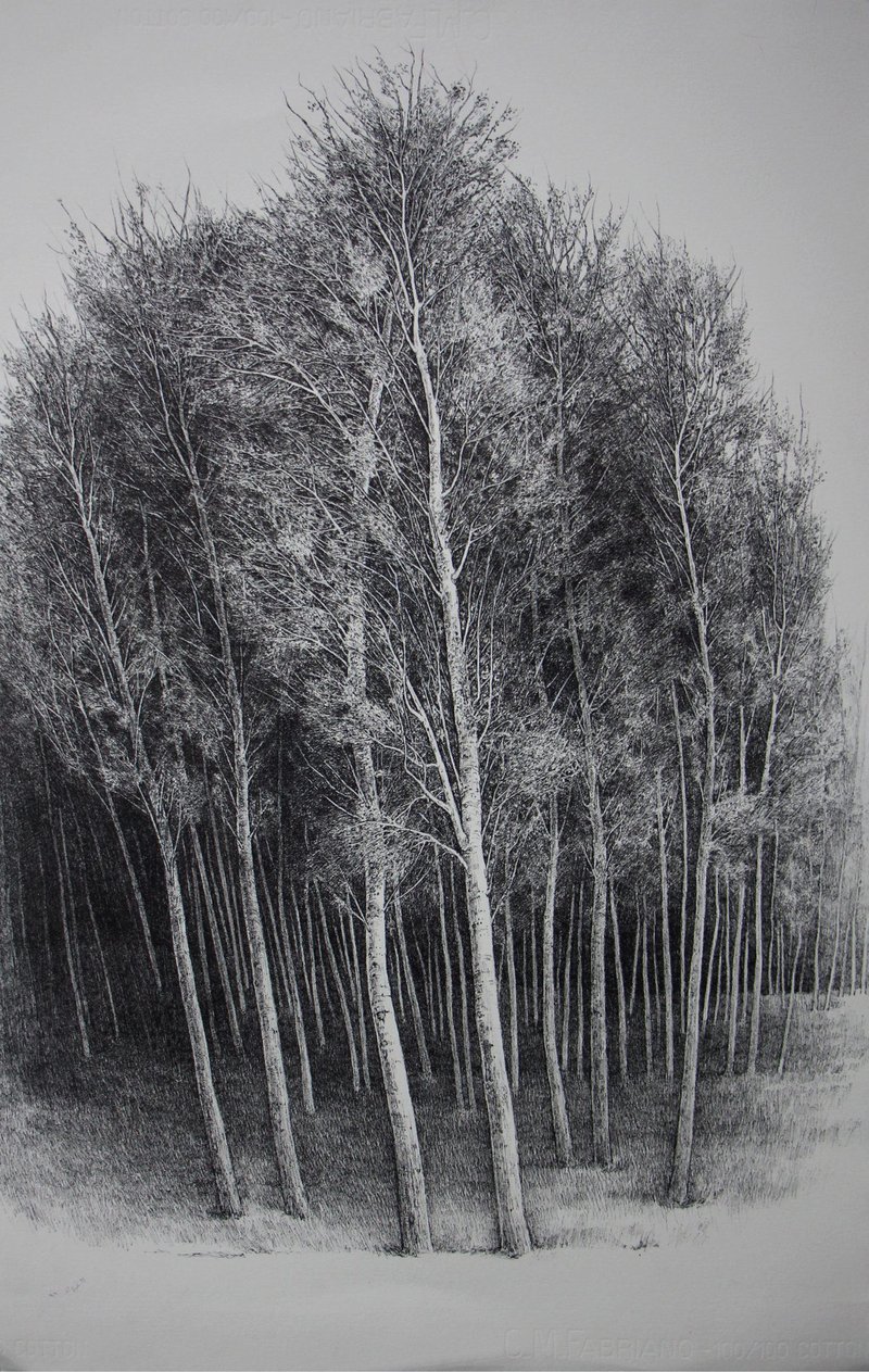 Afsaneh Masaeli, Untitled, 2020