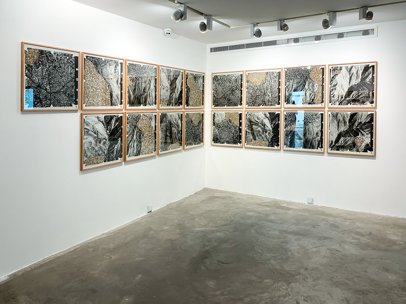 Concealment, installation view