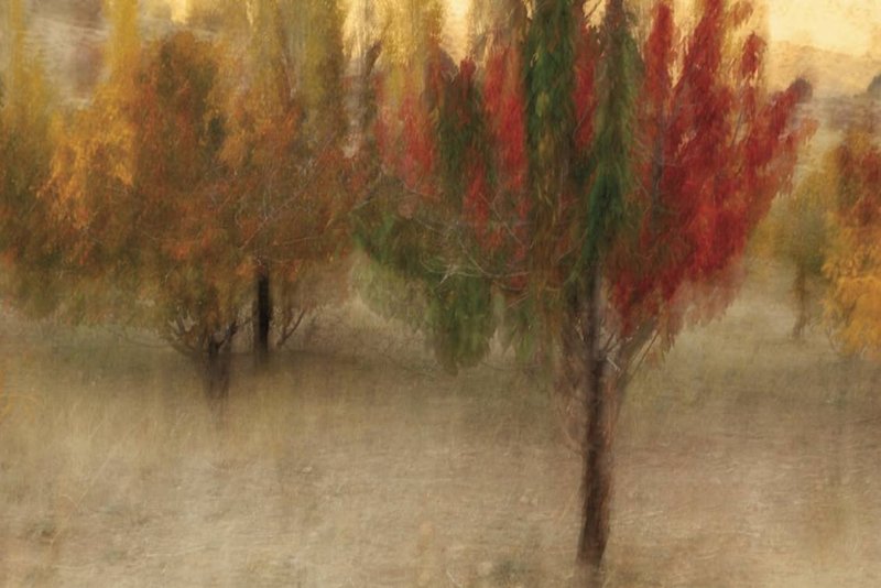 Amirhossein Heshmati, Untitled, 0