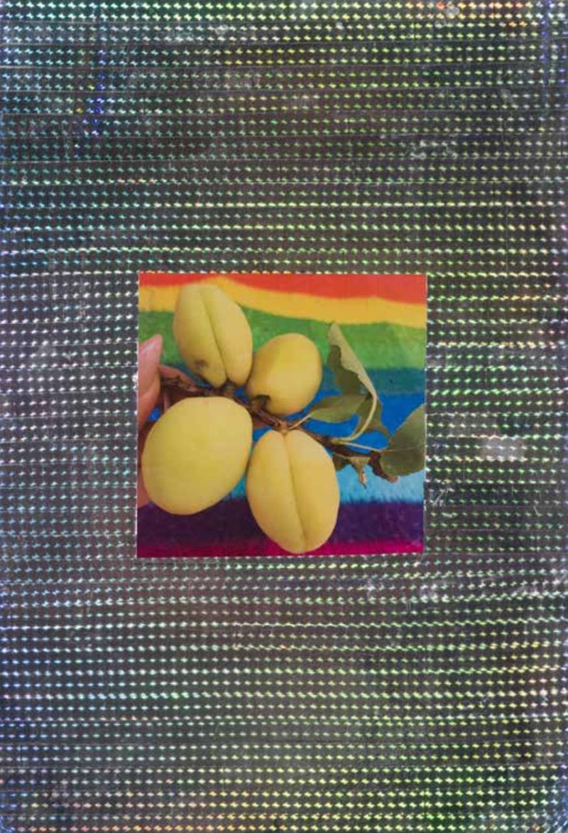 Nazanin Avani, Untitled, 0