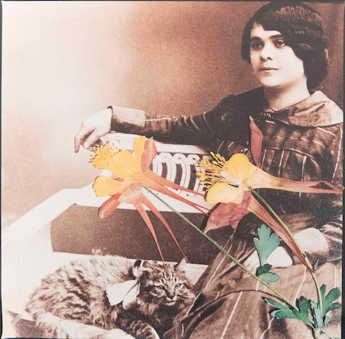 بهمن جلالی، تصویر خیال ۱، 1384