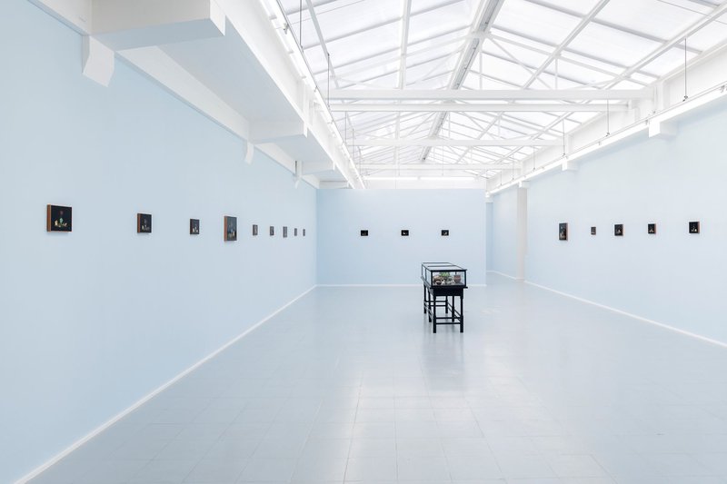Cyanide, installation view