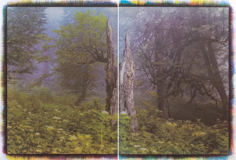 Mehrali Razaghmanesh, Untitled, 2020