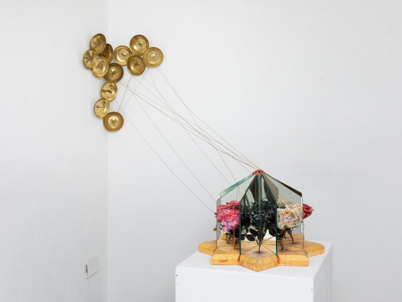 Entropy #8, installation view