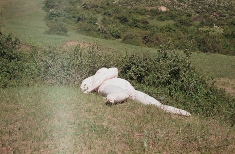 Zahra Yazdani, Untitled, 0