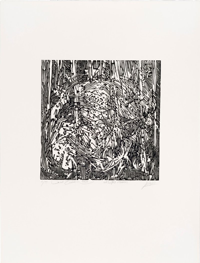 Davood Emdadian, Une Touffe d'Arbress, 1980