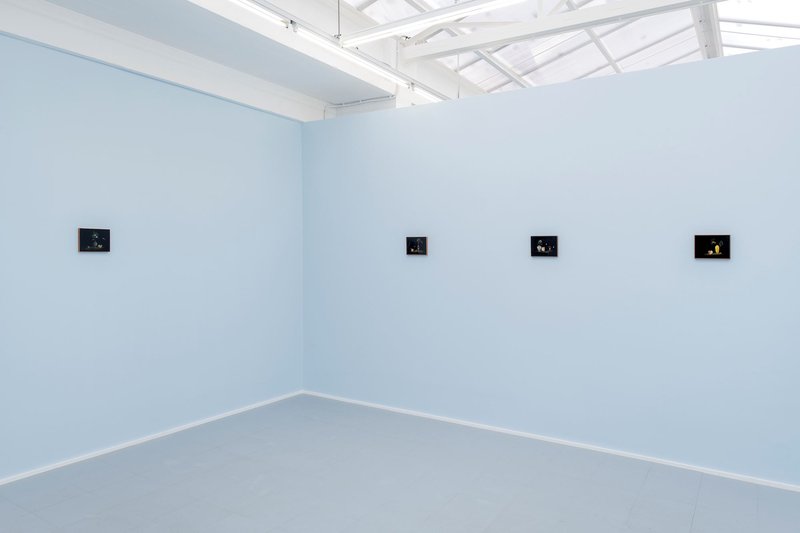 Cyanide, installation view