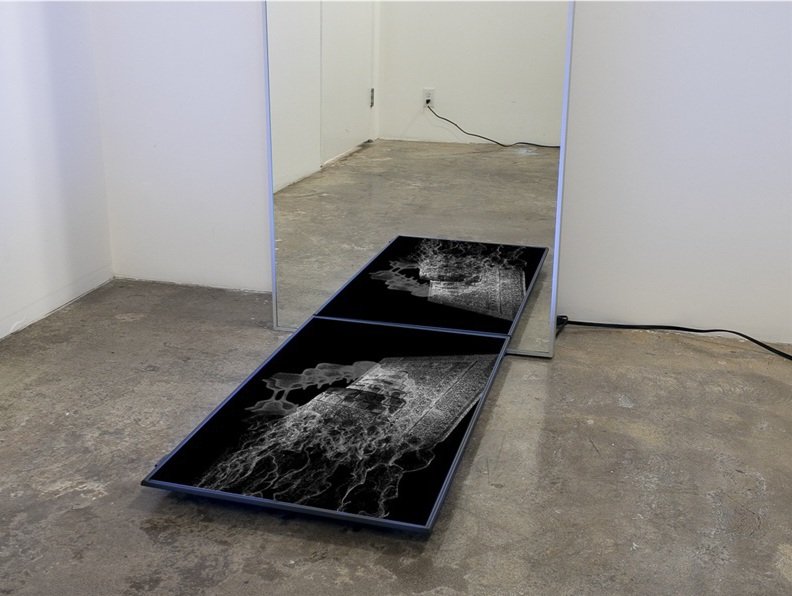 Enfeal, installation view