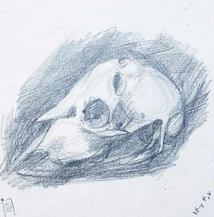 Katayoun Taghizadegan, Untitled, 2022