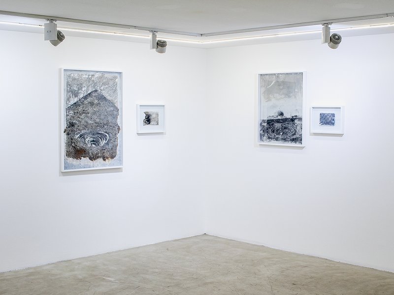 Cognations, Relations, installation view