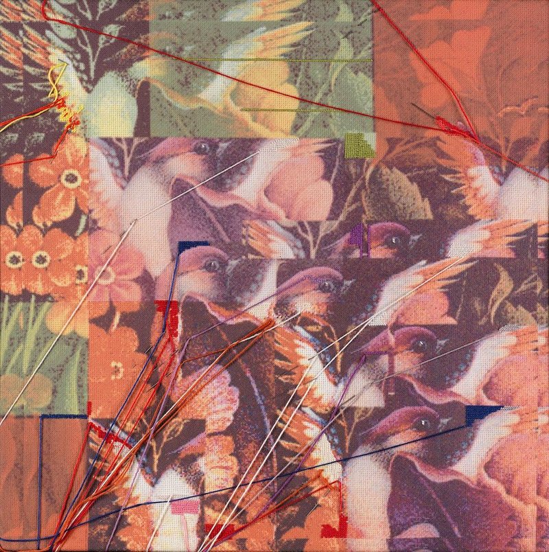 Farhad Ahrarnia, Birds of Shiraz, 2008