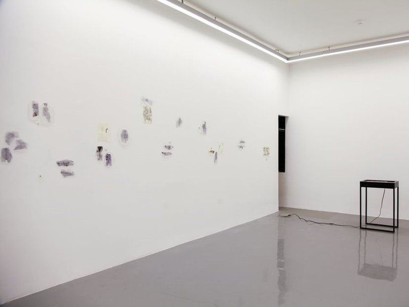 On The Snail’s Circuit, installation view