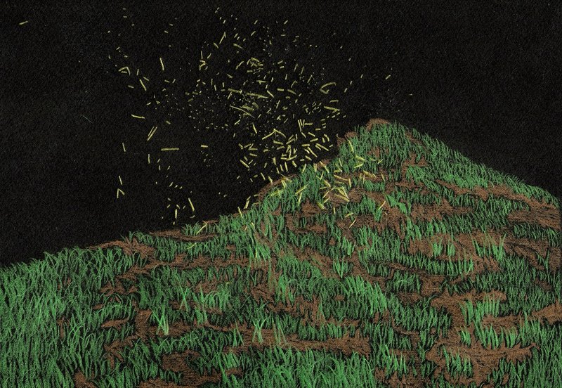 Hannaneh Jaloo, Untitled, 0