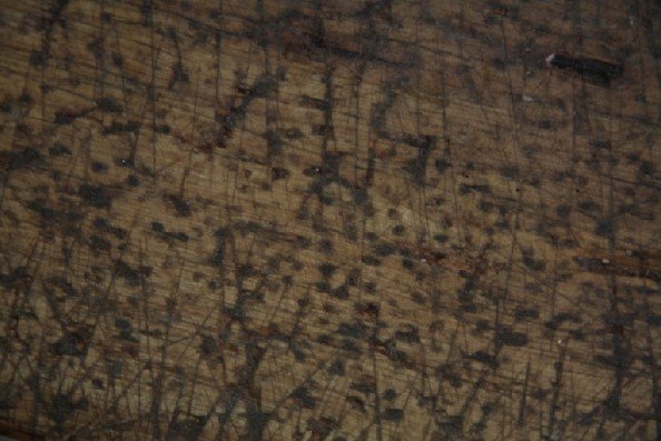 Azadeh Mirzaee, Untitled, 2008
