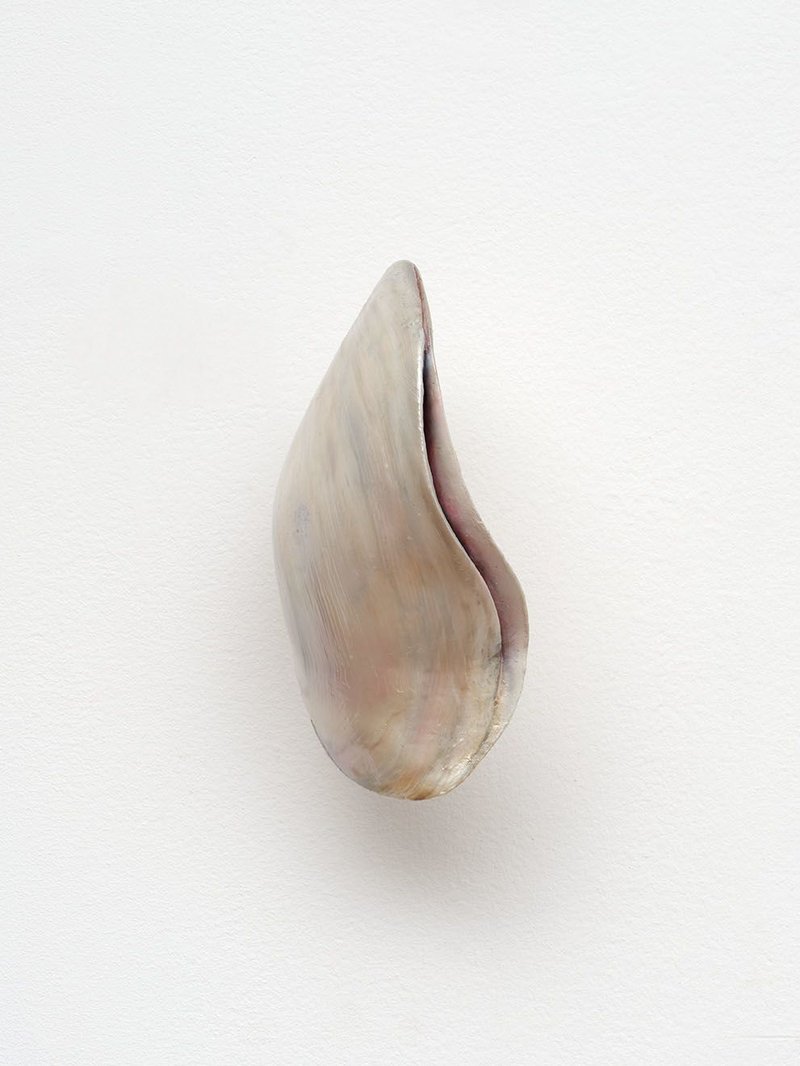 Rosha Yaghmai, Untitled, 2023