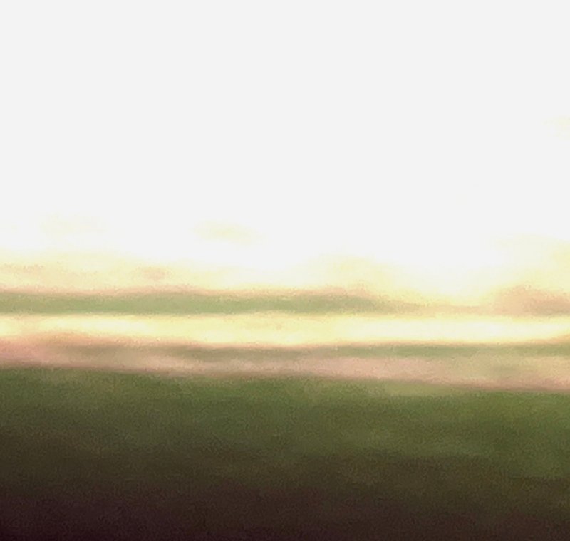 Kimia Askarian, Untitled, 2023