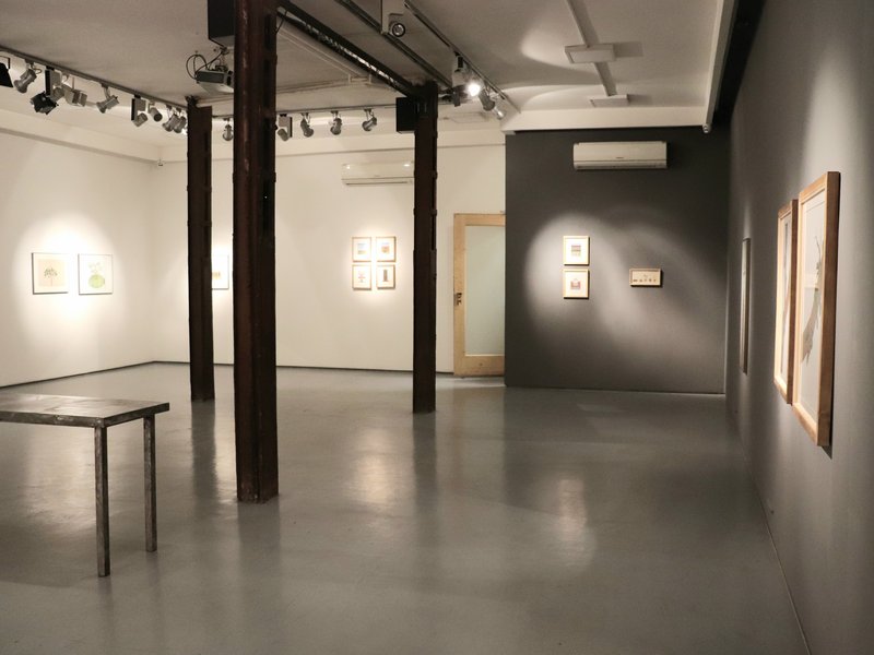 The Whispering Green, installation view