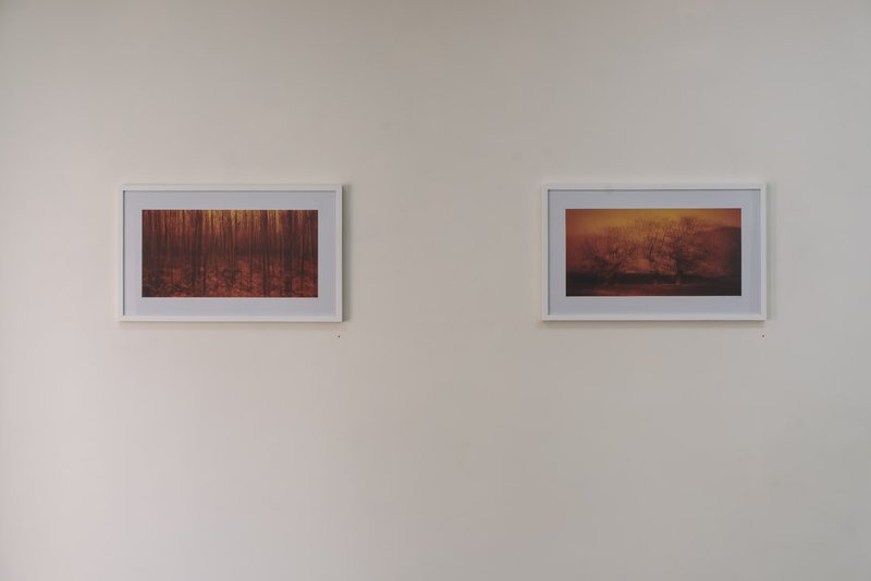 Total Geometry, installation view