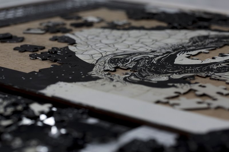 Tales of Interdisciplinia: The Curious Case of a Very Long Tail, installation view